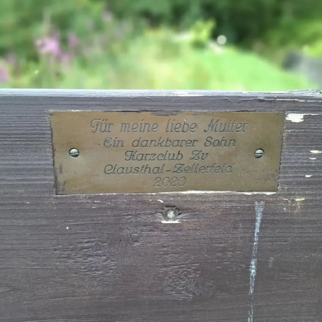 SnapInsta.to_497649354_17846994867472959_5487990758840848581_n