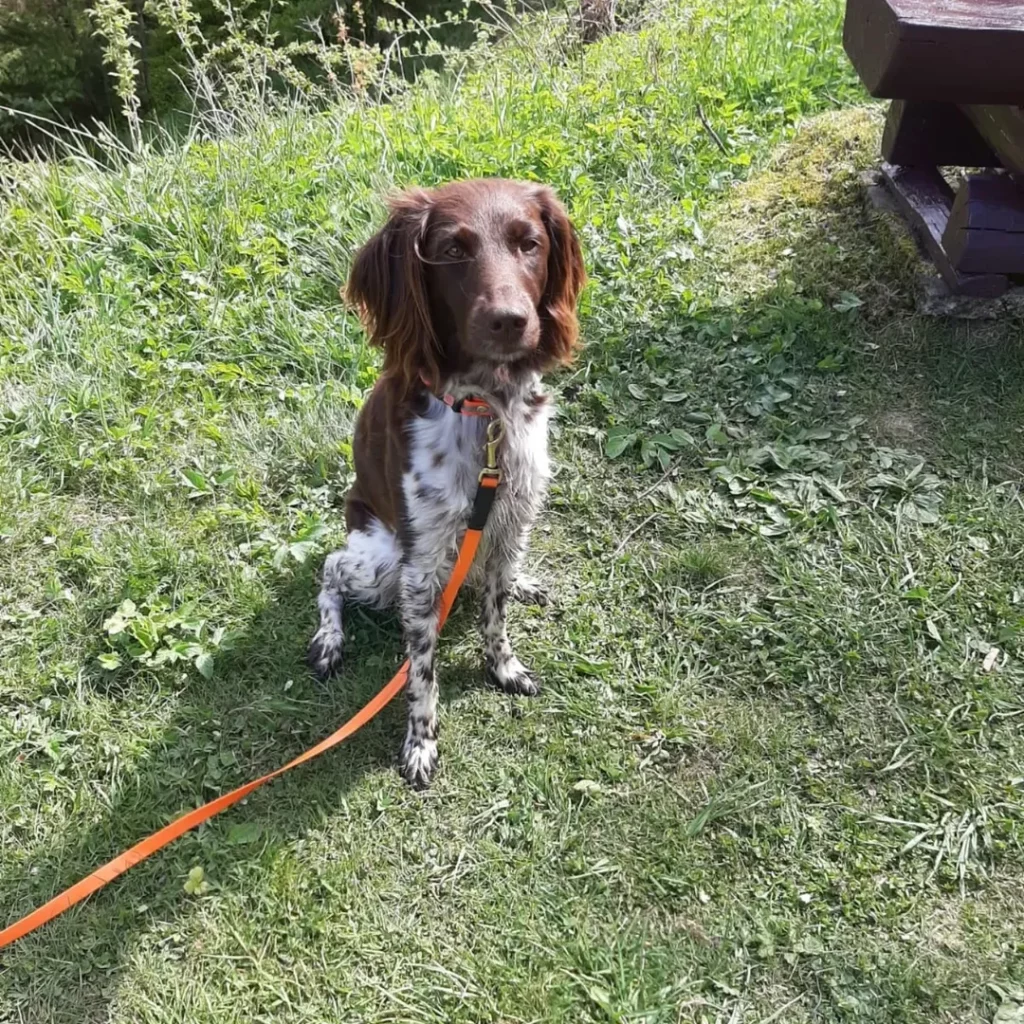 SnapInsta.to_497797203_17846994894472959_1888229554449498245_n