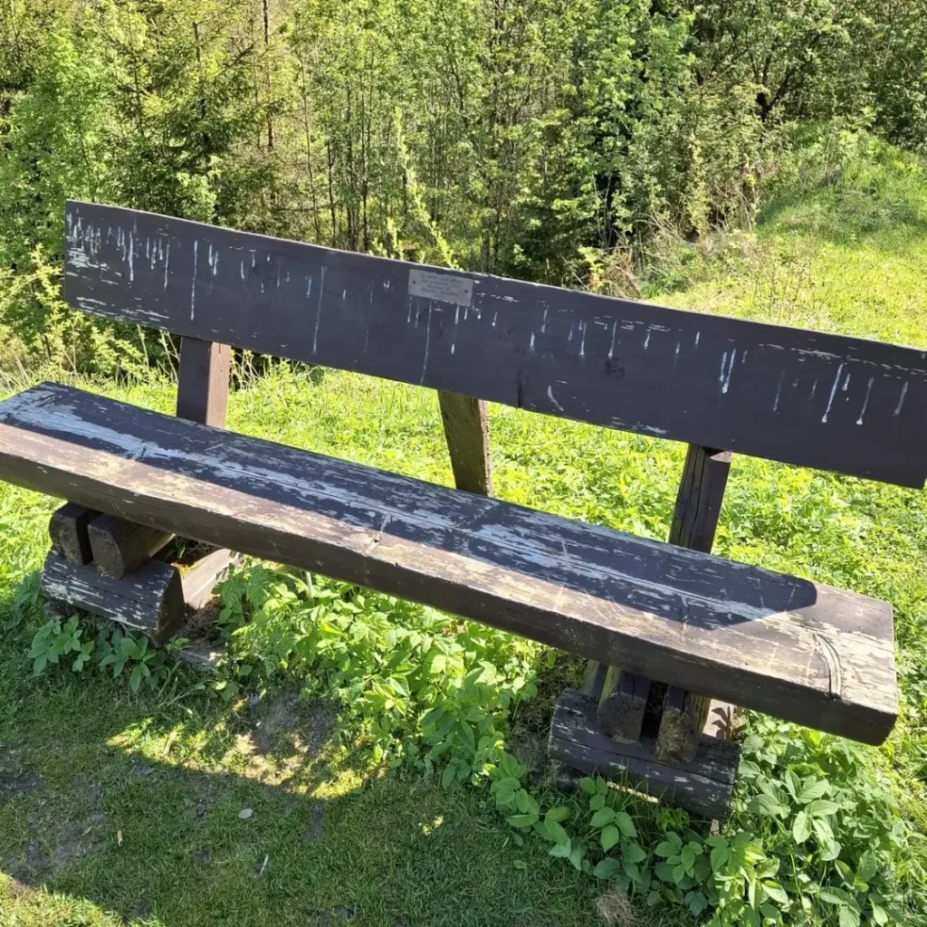 SnapInsta.to_498027272_17846994903472959_9018772122599286088_n